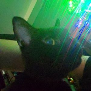 Meet your Posher, Calix